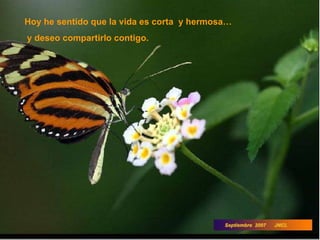 Hoy he sentido que la vida es corta  y hermosa… y deseo compartirlo contigo. 