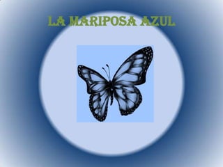 La Mariposa Azul 