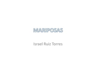 Israel Ruiz Torres
 