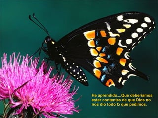 He aprendido....Que deberíamos estar contentos de que Dios no nos dio todo lo que pedimos.  