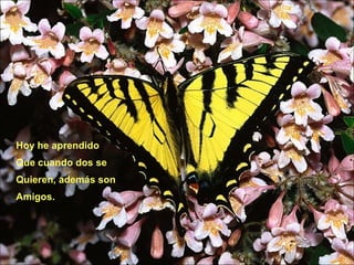 Hoy he aprendido Que cuando dos se  Quieren, además son  Amigos. 