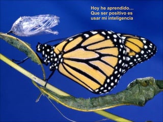 Hoy he aprendido…  Que ser positivo es  usar mi inteligencia  