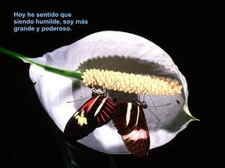 Hoy he sentido que siendo humilde, soy más grande y poderoso. 