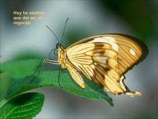 Hoy he sentido que dar es, mi regocijo 