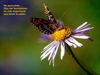 He aprendido....  Que ser bondadoso  es más importante que tener la razón. 