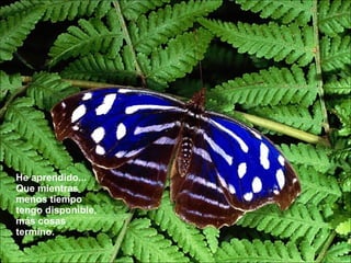 He aprendido... Que mientras menos tiempo tengo disponible, más cosas termino.  