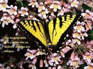 Hoy he aprendido Que cuando dos se  Quieren, además son  Amigos. 