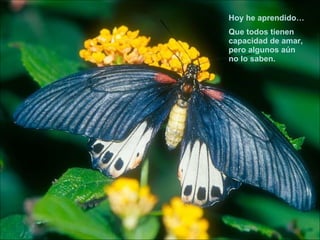 Hoy he aprendido… Que todos tienen capacidad de amar, pero algunos aún  no lo saben. 