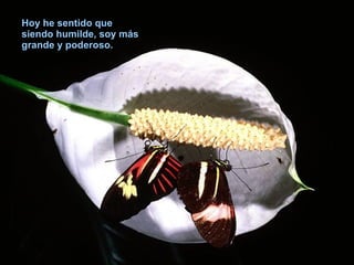 Hoy he sentido que siendo humilde, soy más grande y poderoso. 