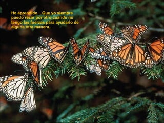 He aprendido... Que yo siempre puedo rezar por otro cuando no tengo las fuerzas para ayudarlo de alguna otra manera..  