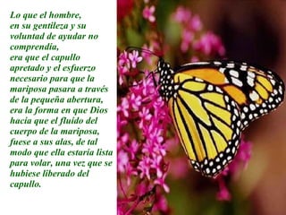 Lo que el hombre, en su gentileza y su voluntad de ayudar no comprendía,  era que el capullo apretado y el esfuerzo necesario para que la mariposa pasara a través de la pequeña abertura, era la forma en que Dios hacía que el fluído del cuerpo de la mariposa, fuese a sus alas, de tal modo que ella estaría lista para volar, una vez que se hubiese liberado del capullo. 