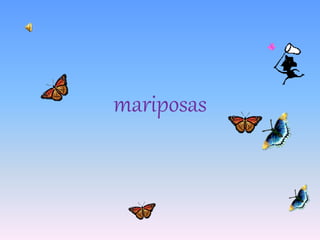 mariposas
 