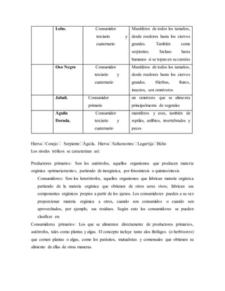Lobo. Consumidor
terciario y
cuaternario
Mamíferos de todos los tamaños,
desde roedores hasta los ciervos
grandes. También come
serpientes. Incluso hasta
humanos si se topan en su camino
Oso Negro Consumidor
terciario y
cuaternario
Mamíferos de todos los tamaños,
desde roedores hasta los ciervos
grandes. Hierbas, frutos,
insectos, son omnívoros
Jabalí. Consumidor
primario
un omnívoro que se alimenta
principalmente de vegetales
Águila
Dorada.
Consumidor
terciario y
cuaternario
mamíferos y aves, también de
reptiles, anfibios, invertebrados y
peces
Hierva Conejo Serpiente Águila. Hierva Saltamontes Lagartija Búho
Los niveles tróficos se caracterizan así:
Productores primarios: Son los autótrofos, aquellos organismos que producen materia
orgánica «primariamente», partiendo de inorgánica, por fotosíntesis o quimiosíntesis.
Consumidores: Son los heterótrofos, aquellos organismos que fabrican materia orgánica
partiendo de la materia orgánica que obtienen de otros seres vivos; fabrican sus
componentes orgánicos propios a partir de los ajenos. Los consumidores pueden a su vez
proporcionar materia orgánica a otros, cuando son consumidos o cuando son
aprovechados, por ejemplo, sus residuos. Según esto los consumidores se pueden
clasificar en:
Consumidores primarios: Los que se alimentan directamente de productores primarios,
autótrofos, tales como plantas y algas. El concepto incluye tanto alos fitófagos (o herbívoros)
que comen plantas o algas, como los parásitos, mutualistas y comensales que obtienen su
alimento de ellas de otras maneras.
 