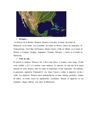  Refugios…
. La Reserva de la Biosfera Mariposa Monarca se localiza al oriente del estado de
Michoacán en los límites con el poniente del estado de México; abarca los municipios de
Temascalcingo, San Felipe del Progreso, Donato Guerra y Villa de Allende en el estado de
México, y Contepec, Senguío, Angangueo, Ocampo, Zitácuaro, y Aporo en el estado de
Michoacán.
 Ciclo de vida
En general la mariposa Monarca vive 4 días como huevo, 2 semanas como oruga, 10 días
como crisálida y de 2 a 6 semanas como mariposa. La duración de cada una de la etapas
depende de varios factores, entre los cuales la temperatura es muy importante. Sin embargo,
la generación migratoria ("matusalén") vive hasta 9 meses y realiza la migración de ida y
vuelta. Las mariposas Monarca nacen principalmente en zonas abiertas, pastizales, campos
de cultivo, en donde crecen los algodoncillos (Asclepias). Durante la migración se van
reuniendo y llegan millones a los sitios de hibernación.
 