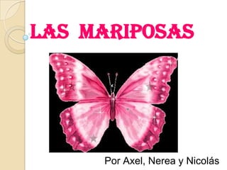 Las mariposas




     Por Axel, Nerea y Nicolás
 