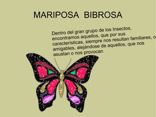 MARIPOSA BIBROSA
Dentro del gran grupo de los Insectos,
encontramos aquellos, que por sus
características, siempre nos resultan familiares, o
amigables, alejándose de aquellos, que nos
asustan o nos provocan
 