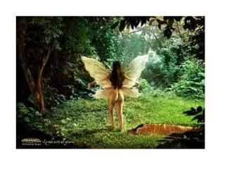 Mariposas miercoles 21 3-2012