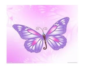 Mariposas miercoles 21 3-2012