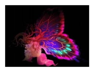 Mariposas miercoles 21 3-2012