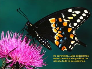 He aprendido....Que deberíamos estar contentos de que Dios no nos dio todo lo que pedimos.  