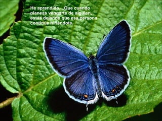 He aprendido....Que cuando planeas vengarte de alguien, estás dejando que esa persona continúe hiriéndote.  