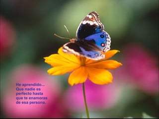 He aprendido... Que nadie es perfecto hasta que te enamoras de esa persona.  