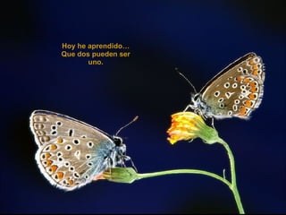 Hoy he aprendido… Que dos pueden ser uno. 