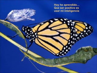 Hoy he aprendido…  Que ser positivo es  usar mi inteligencia  