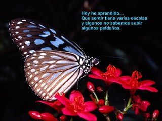 Hoy he aprendido…  Que sentir tiene varias escalas  y algunos no sabemos subir algunos peldaños. 