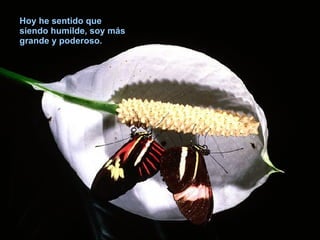 Hoy he sentido que siendo humilde, soy más grande y poderoso. 