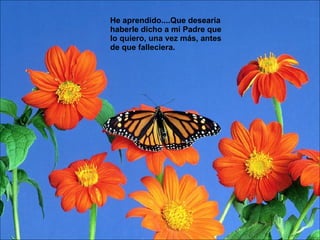 He aprendido....Que desearía haberle dicho a mi Padre que lo quiero, una vez más, antes de que falleciera.  