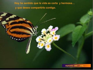 Hoy he sentido que la vida es corta  y hermosa… y que deseo compartirlo contigo. 