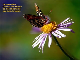 He aprendido....  Que ser bondadoso  es más importante que tener la razón. 