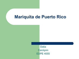 Mariquita de Puerto Rico Dalia Carolynn EDPE 4055 