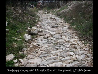 Άποψη τμήματος της οδού λιθαγωγίας έξω από το λατομείο Λ1 της Σπηλιάς (από Α).
 