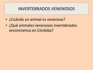 INVERTEBRADOS VENENOSOS
• ¿Cuándo un animal es venenoso?
• ¿Qué animales venenosos invertebrados
encontramos en Córdoba?
 