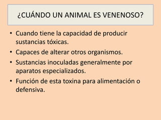¿CUÁNDO UN ANIMAL ES VENENOSO?
• Cuando tiene la capacidad de producir
sustancias tóxicas.
• Capaces de alterar otros organismos.
• Sustancias inoculadas generalmente por
aparatos especializados.
• Función de esta toxina para alimentación o
defensiva.
 