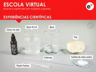 EXPERIÊNCIAS CIENTÍFICAS 
ESCOLA VIRTUAL 
Ensinar e aprender em múltiplos suportes  
