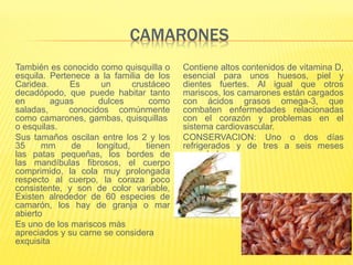 CAMARONES
También es conocido como quisquilla o
esquila. Pertenece a la familia de los
Caridea. Es un crustáceo
decadópodo, que puede habitar tanto
en aguas dulces como
saladas, conocidos comúnmente
como camarones, gambas, quisquillas
o esquilas.
Sus tamaños oscilan entre los 2 y los
35 mm de longitud, tienen
las patas pequeñas, los bordes de
las mandíbulas fibrosos, el cuerpo
comprimido, la cola muy prolongada
respecto al cuerpo, la coraza poco
consistente, y son de color variable,
Existen alrededor de 60 especies de
camarón, los hay de granja o mar
abierto
Es uno de los mariscos más
apreciados y su carne se considera
exquisita
Contiene altos contenidos de vitamina D,
esencial para unos huesos, piel y
dientes fuertes. Al igual que otros
mariscos, los camarones están cargados
con ácidos grasos omega-3, que
combaten enfermedades relacionadas
con el corazón y problemas en el
sistema cardiovascular.
CONSERVACION: Uno o dos días
refrigerados y de tres a seis meses
congelado
 