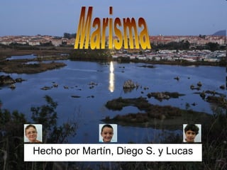 Hecho por Martín, Diego S. y Lucas Marisma 