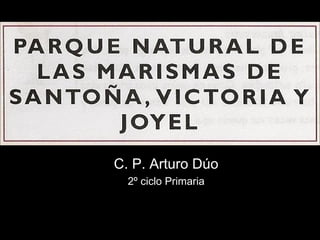 C. P. Arturo Dúo 2º ciclo Primaria 