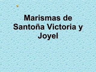 Marismas de Santoña Victoria y Joyel 