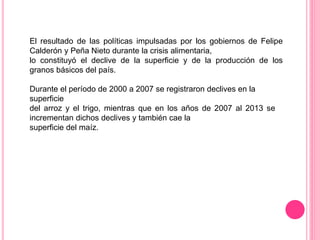 El resultado de las políticas impulsadas por los gobiernos de Felipe
Calderón y Peña Nieto durante la crisis alimentaria,
lo constituyó el declive de la superficie y de la producción de los
granos básicos del país.
Durante el período de 2000 a 2007 se registraron declives en la
superficie
del arroz y el trigo, mientras que en los años de 2007 al 2013 se
incrementan dichos declives y también cae la
superficie del maíz.
 