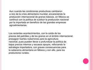 Aun cuando las condiciones productivas cambiaron
a raíz de la crisis alimentaria mundial, encareciendo la
producción internacional de granos básicos, en México se
continuó con la política de sustituir la producción nacional
por la importada en beneficio de las grandes empresas
agroalimentarias.
Los recientes acontecimientos, con la caída de los
precios del petróleo y de los granos en el ámbito internacional,
presagian fuertes nubarrones para la agricultura
nacional, pues pueden llevar a profundizar la política de
bajos precios internos y escasos apoyos, reforzando la
estrategia importadora, con graves consecuencias para
la soberanía alimentaria en México y con ello, para los
productores rurales.
 