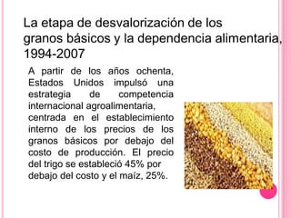 A partir de los años ochenta,
Estados Unidos impulsó una
estrategia de competencia
internacional agroalimentaria,
centrada en el establecimiento
interno de los precios de los
granos básicos por debajo del
costo de producción. El precio
del trigo se estableció 45% por
debajo del costo y el maíz, 25%.
 