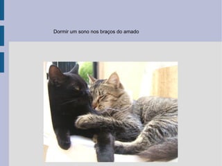 Dormir um sono nos braços do amado 