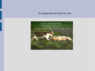 Ter amigos fieis por toda uma vida 