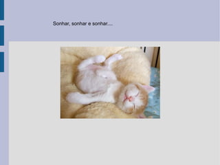 Sonhar, sonhar e sonhar.... 