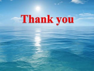 Maritime Information Visualization