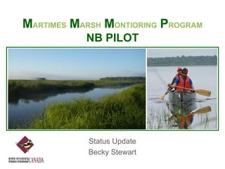 MARTIMES MARSH MONTIORING PROGRAM
NB PILOT

Status Update
Becky Stewart

 